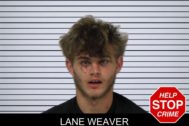 Lane Weaver mugshot