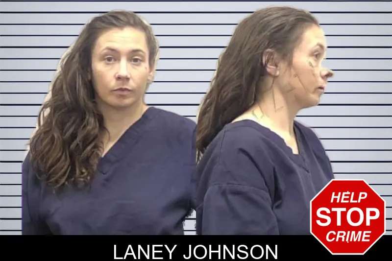 Laney Johnson mugshot