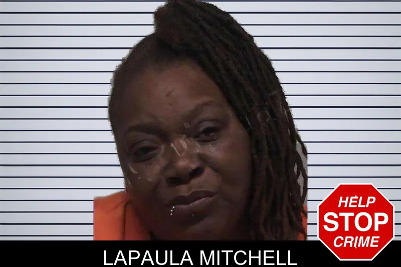 Lapaula Mitchell mugshot
