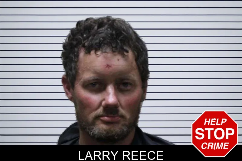 Larry Reece mugshot – Haralson County , Georgia Larry Reece mugshot