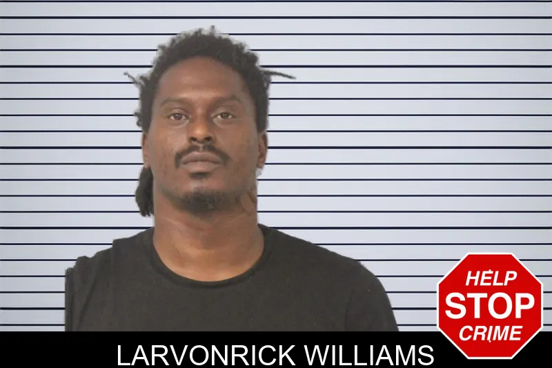 Larvonrick Williams mugshot – Mcintosh County , Georgia Larvonrick Williams mugshot