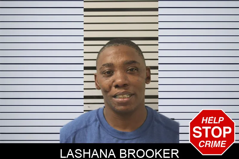 Lashana Brooker mugshot – Toombs County , Georgia Lashana Brooker mugshot