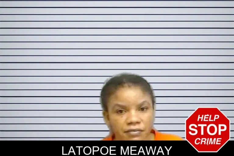 Latopoe Meaway