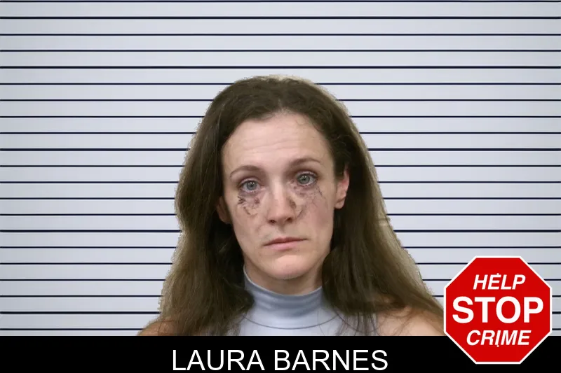 Laura Barnes mugshot