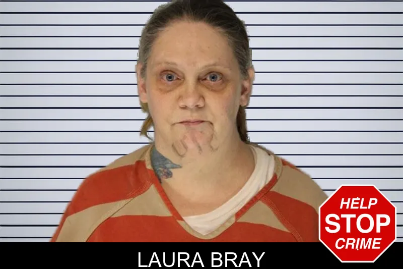 Laura Bray mugshot