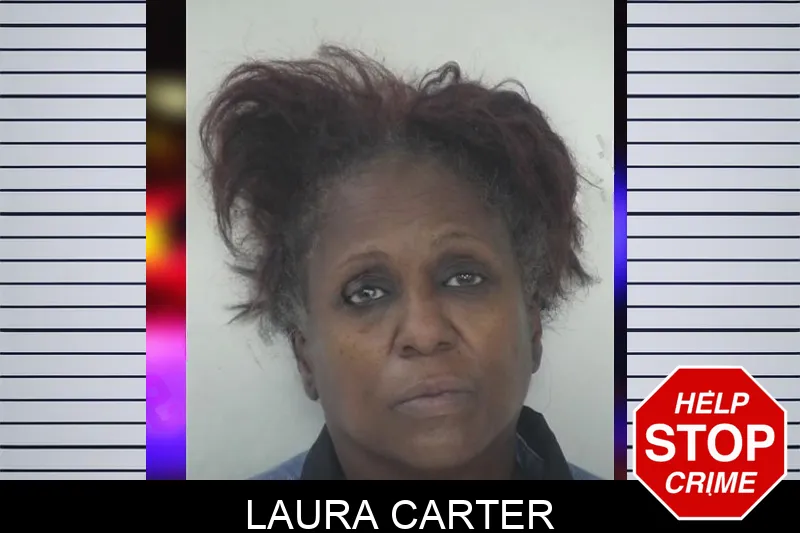 Laura Carter mugshot – Fayette County , Georgia Laura Carter mugshot