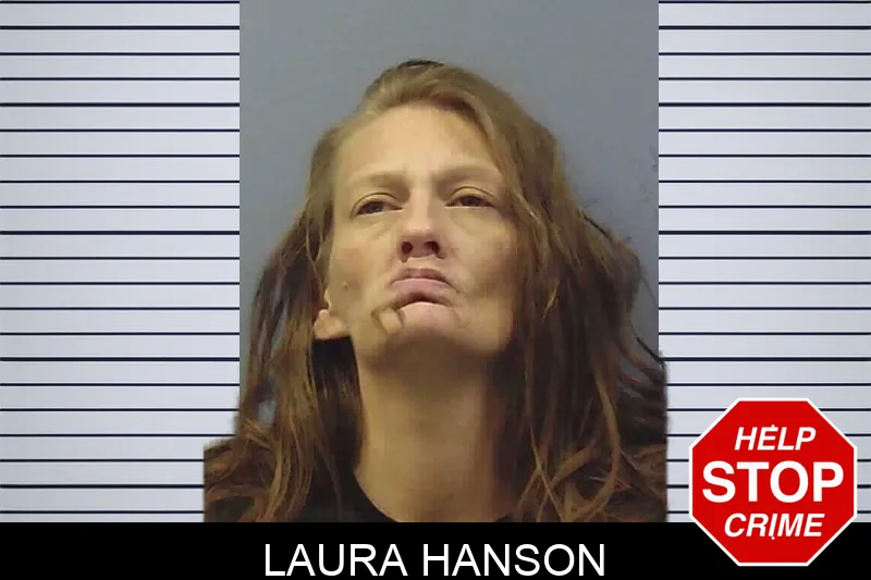 Laura Hanson mugshot – Chattooga County , Georgia Laura Hanson mugshot