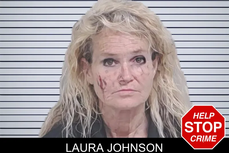 Laura Johnson mugshot – Lowndes County , Georgia Laura Johnson mugshot