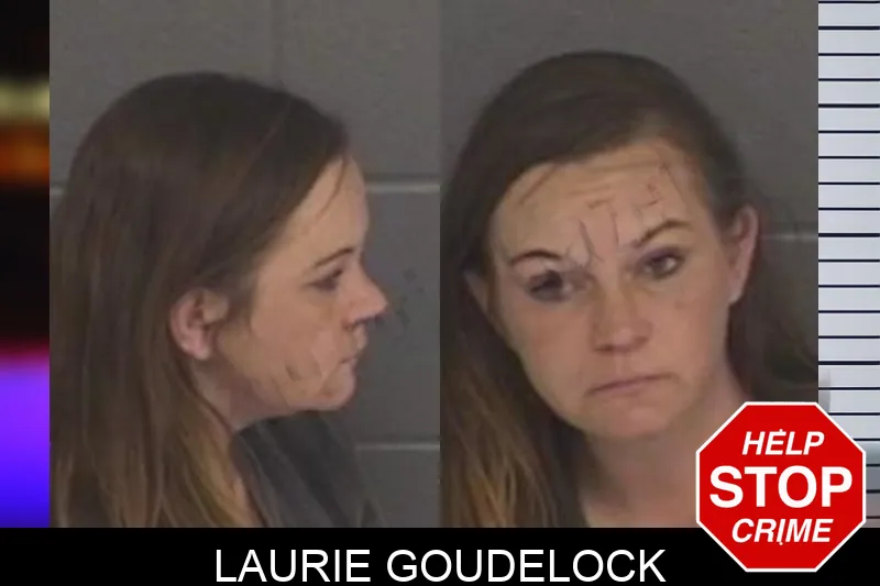 Laurie Goudelock mugshot – Barrow County , Georgia Laurie Goudelock mugshot