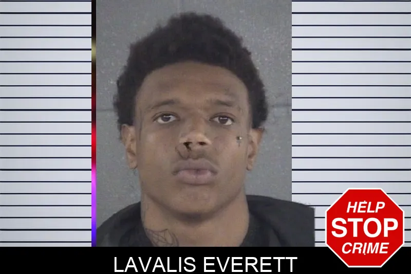 Lavalis Everett mugshot