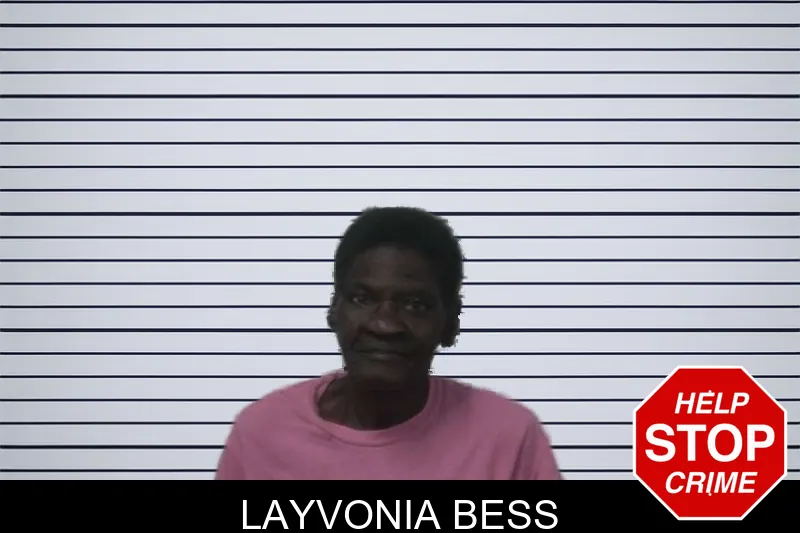 Layvonia Bess mugshot