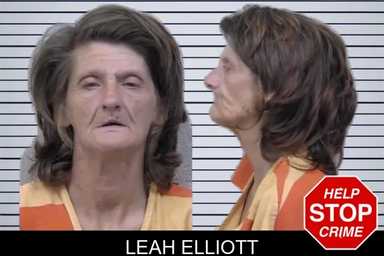 Leah Elliott mugshot – Paulding County , Georgia Leah Elliott