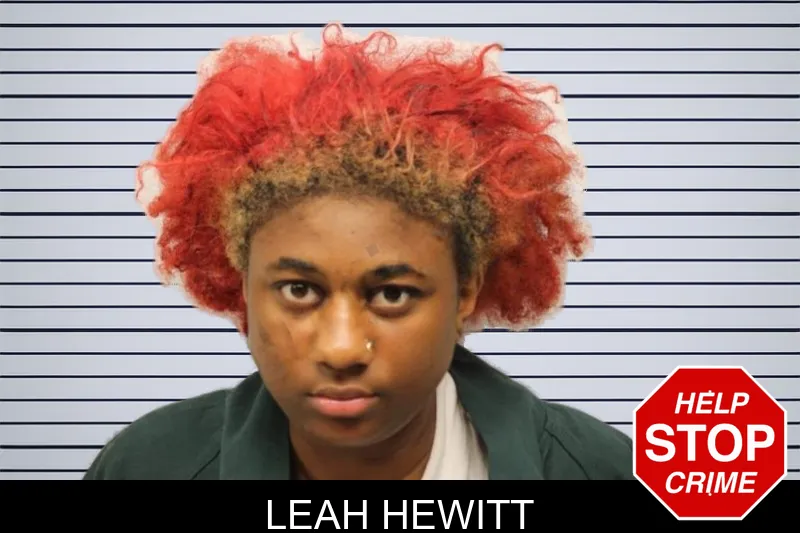 Leah Hewitt mugshot