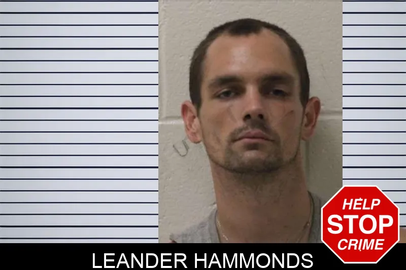 Leander Hammonds mugshot