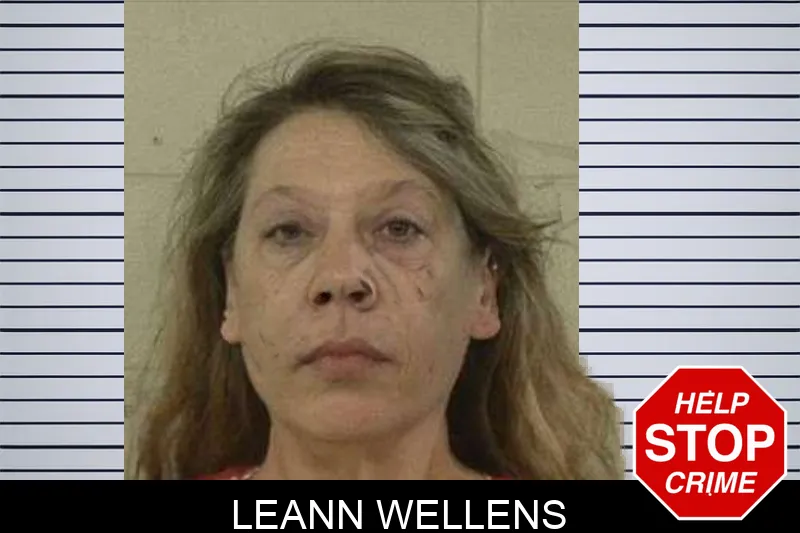 Leann Wellens mugshot