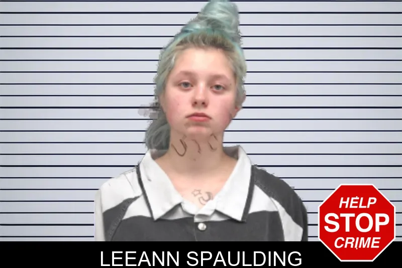 Leeann Spaulding mugshot