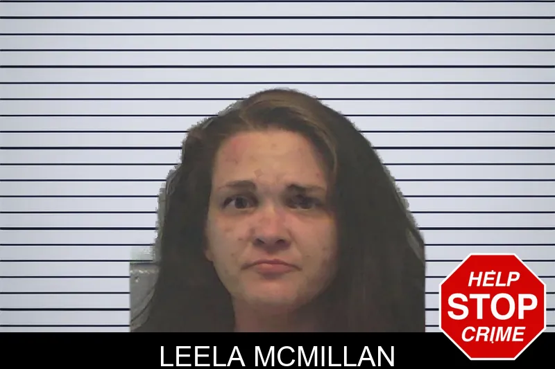 Leela McMillan mugshot – Ware County , Georgia Leela McMillan mugshot