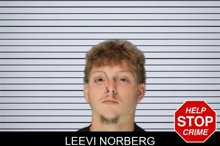 Leevi Norberg mugshot – Hall County , Georgia Leevi Norberg