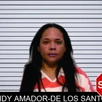 Leidy Amador-De Los Santos mugshot – Bartow County , Georgia Leidy Amador-De Los Santos mugshot