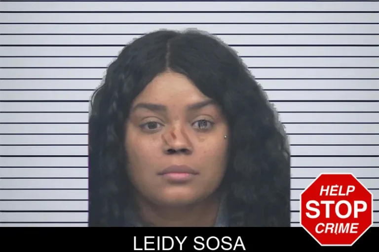 Leidy Sosa mugshot – Gwinnett County , Georgia Leidy Sosa