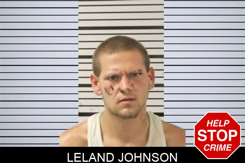 Leland Johnson mugshot