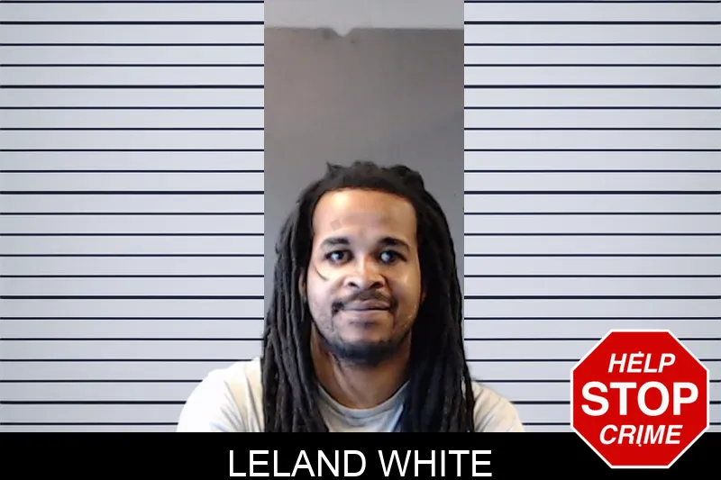 Leland White mugshot – DeKalb County , Georgia Leland White mugshot