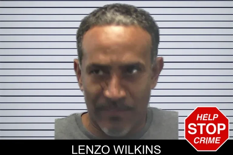 Lenzo Wilkins mugshot – Ware County , Georgia Lenzo Wilkins