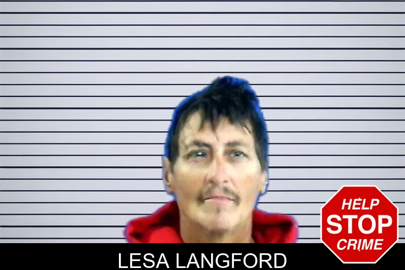 Lesa Langford mugshot
