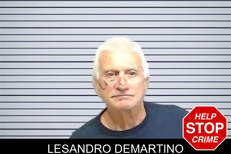 Lesandro Demartino mugshot – Fulton County , Georgia Lesandro Demartino mugshot
