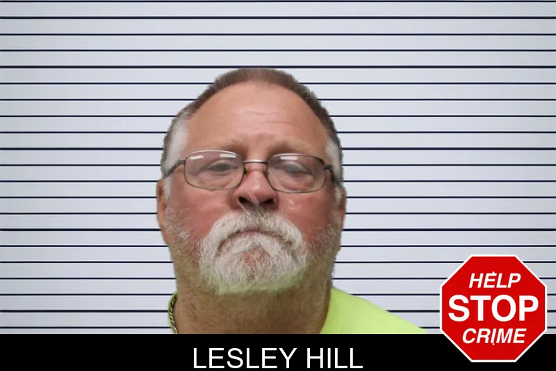 Lesley Hill mugshot