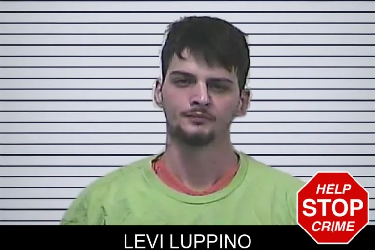 Levi Luppino mugshot – Dawson County , Georgia Levi Luppino