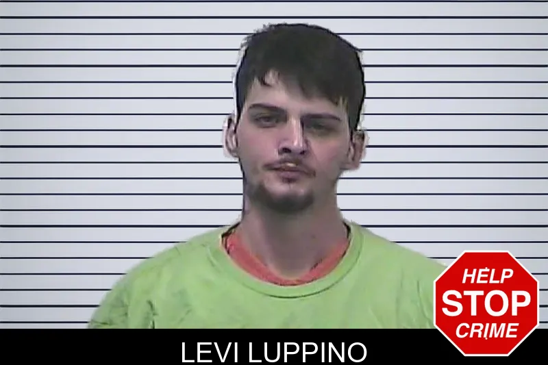 Levi Luppino mugshot – Dawson County , Georgia Levi Luppino mugshot