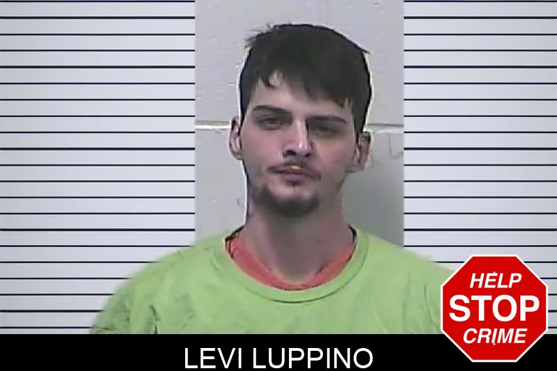 Levi Luppino mugshot