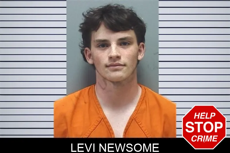 Levi Newsome mugshot – Cherokee County , Georgia Levi Newsome mugshot