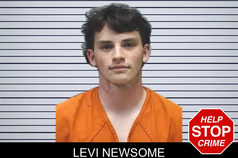 Levi Newsome mugshot – Cherokee County , Georgia Levi Newsome mugshot