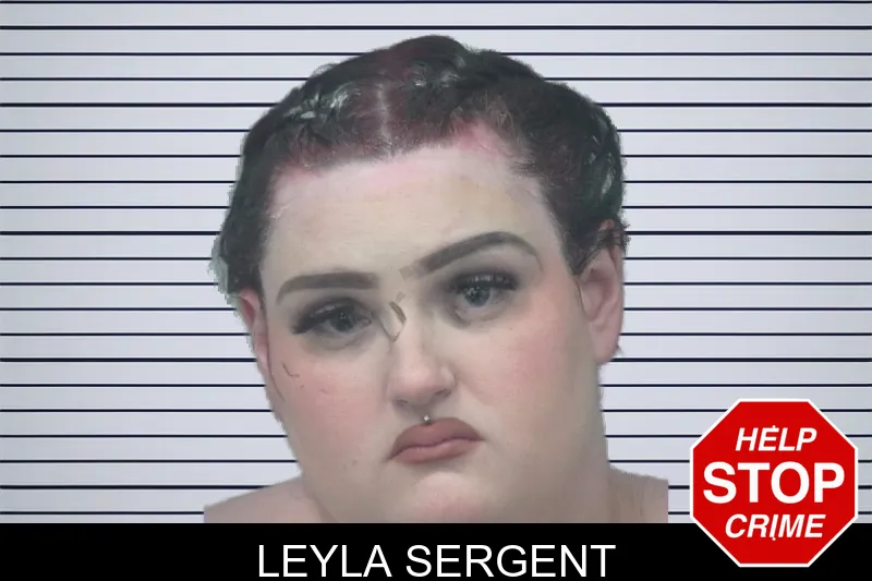 Leyla Sergent mugshot – Gwinnett County , Georgia Leyla Sergent mugshot