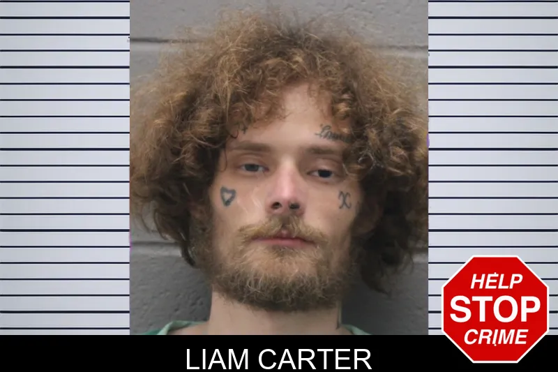 Liam Carter mugshot