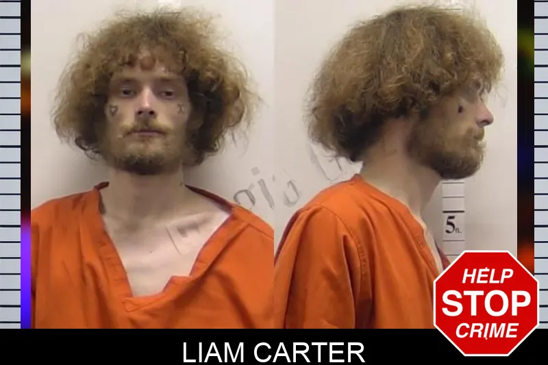 Liam Carter mugshot – Clarke County , Georgia Liam Carter mugshot