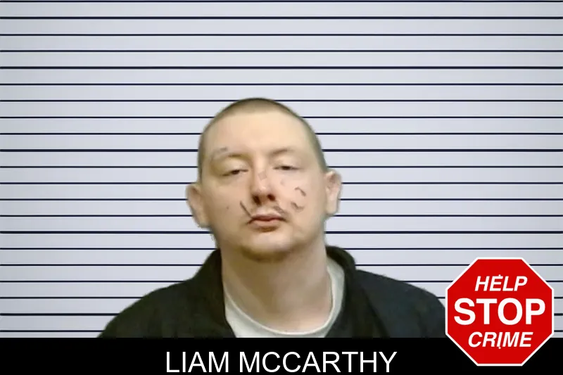Liam McCarthy mugshot – Fulton County , Georgia Liam McCarthy mugshot