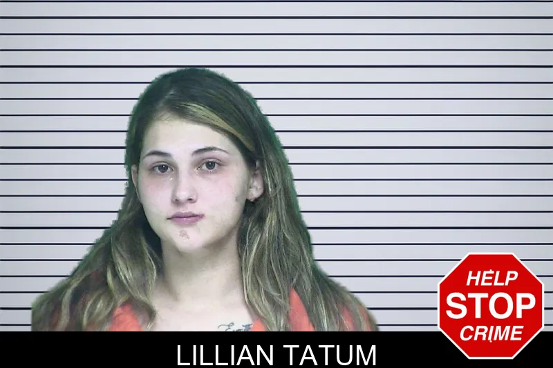 Lillian Tatum mugshot – Appling County , Georgia Lillian Tatum mugshot