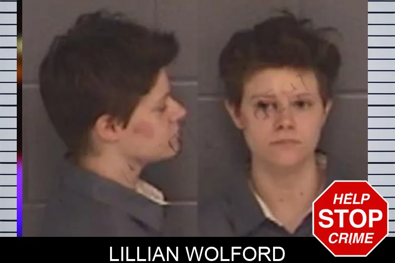 Lillian Wolford mugshot – Barrow County , Georgia Lillian Wolford mugshot