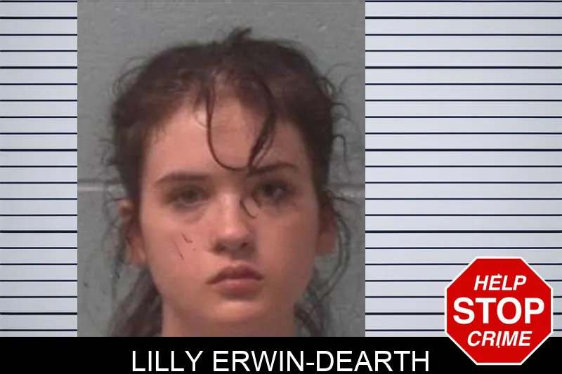 Lilly Erwin-Dearth mugshot – Franklin County , Georgia Lilly Erwin-Dearth mugshot
