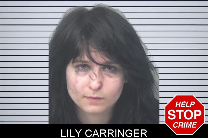 Lily Carringer mugshot