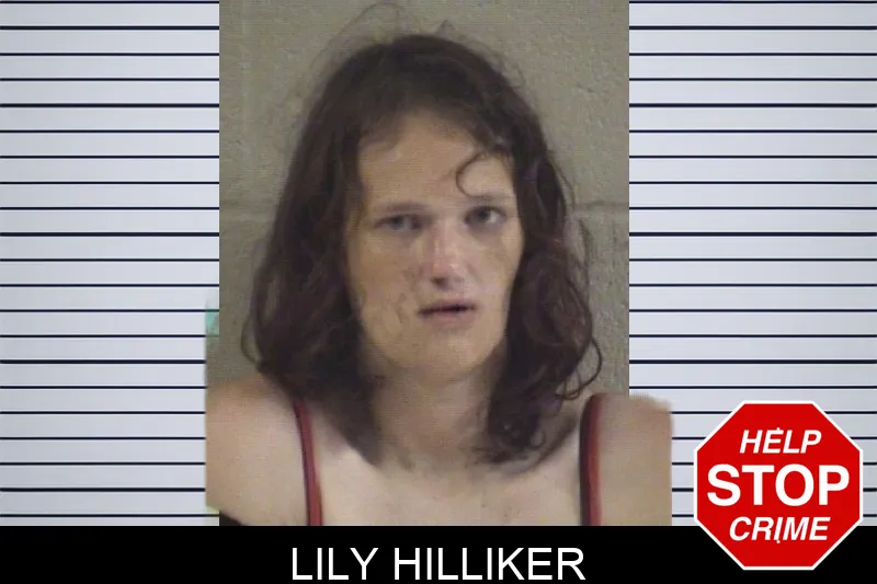 Lily Hilliker mugshot – Whitfield County , Georgia Lily Hilliker mugshot