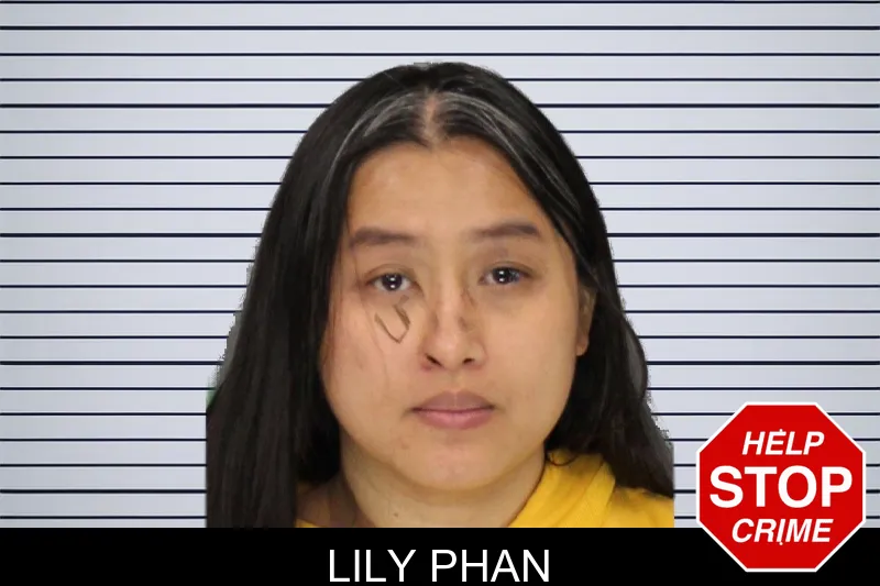 Lily Phan mugshot