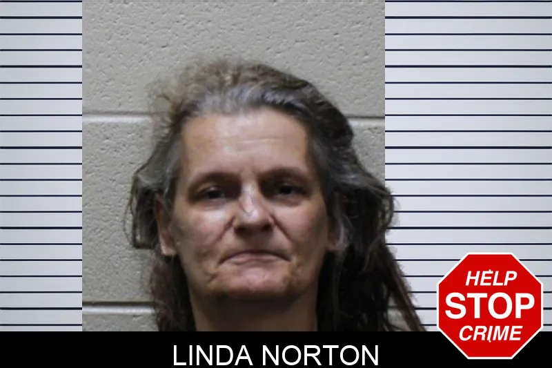 Linda Norton mugshot