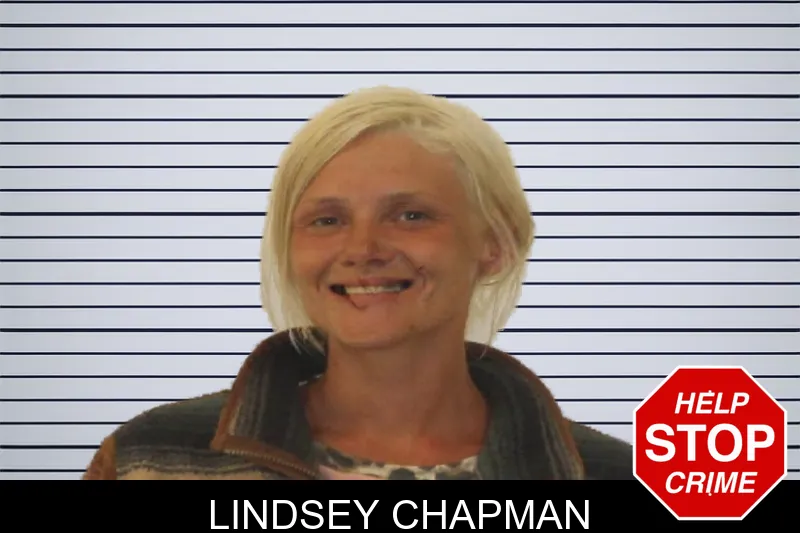 Lindsey Chapman mugshot – Johnson County , Georgia Lindsey Chapman mugshot