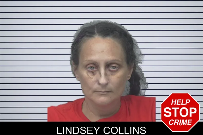 Lindsey Collins mugshot