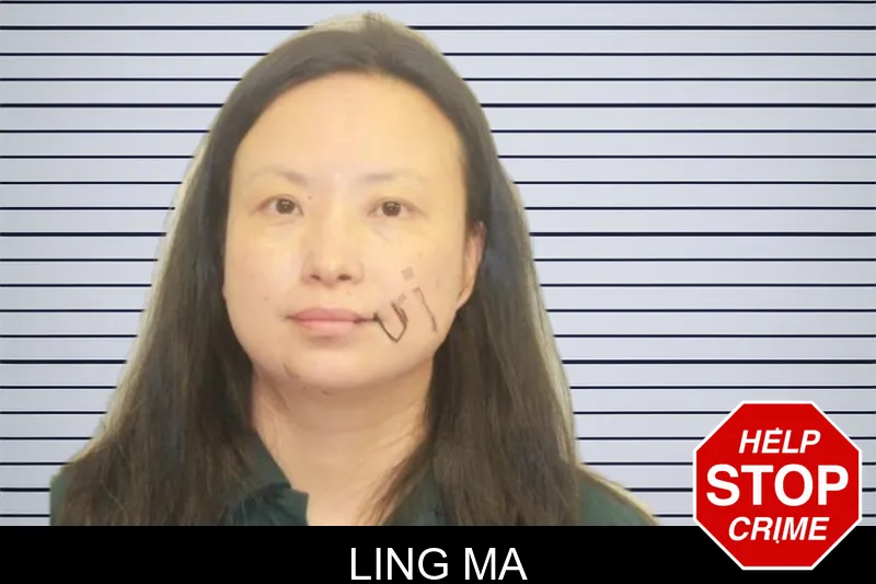 Ling Ma mugshot – Chatham County , Georgia Ling Ma mugshot