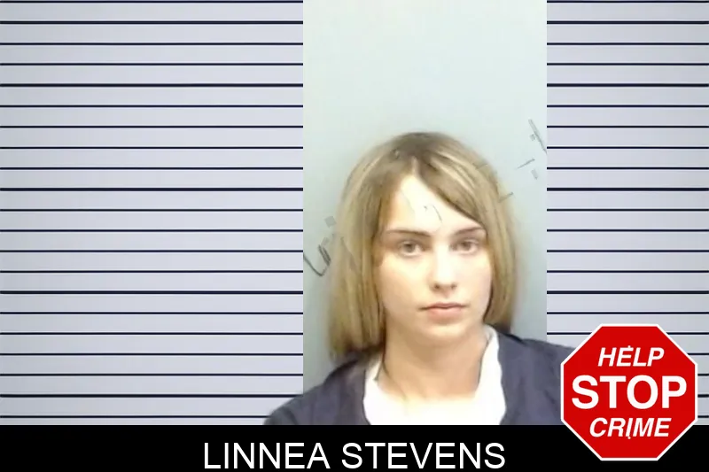 Linnea Stevens mugshot – Fulton County , Georgia Linnea Stevens mugshot